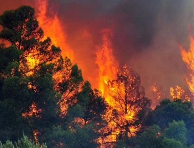 Συνεχίζεται η «μάχη» με τις φλόγες σε Ηλεία, Κορινθία, Κρήτη και Αυλώνα - 130 δασικές πυρκαγιές το τελευταίο 24ωρο